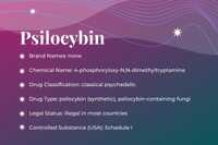 Featured Image: Psilocybin-Assisted Therapy Guide